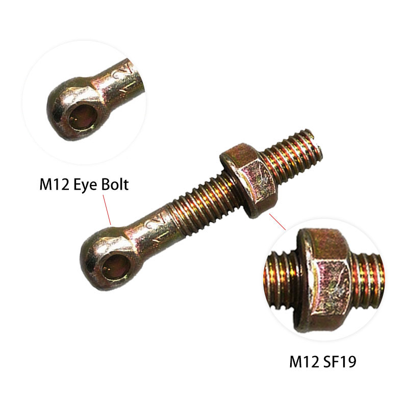 M12 Eye Bolt a M12 SF19